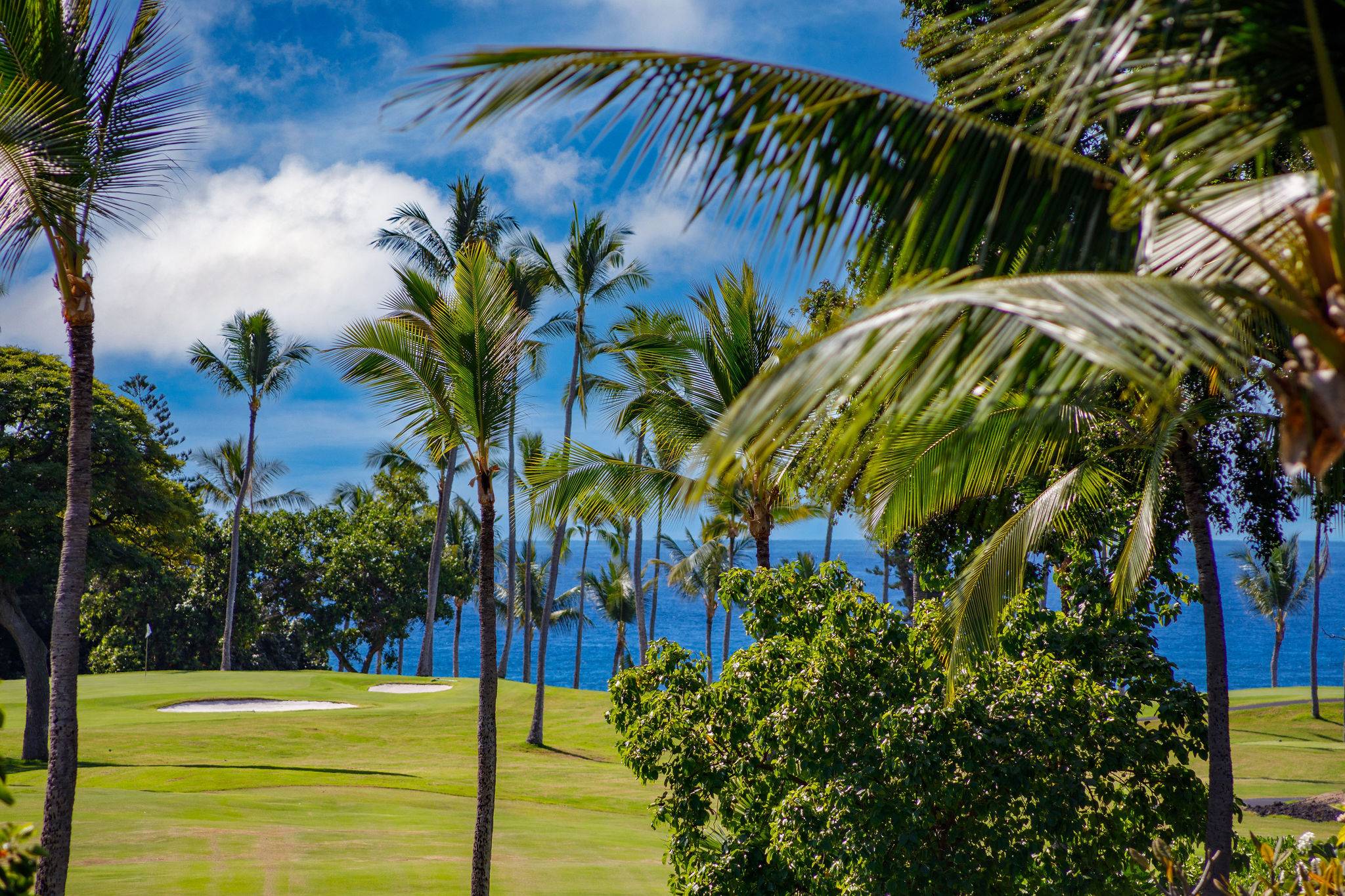 Kailua-kona, HI 96740,78-6800 ALII DR #7304