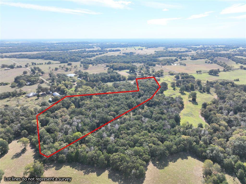 Teague, TX 75860,9 Acres County Rd 471