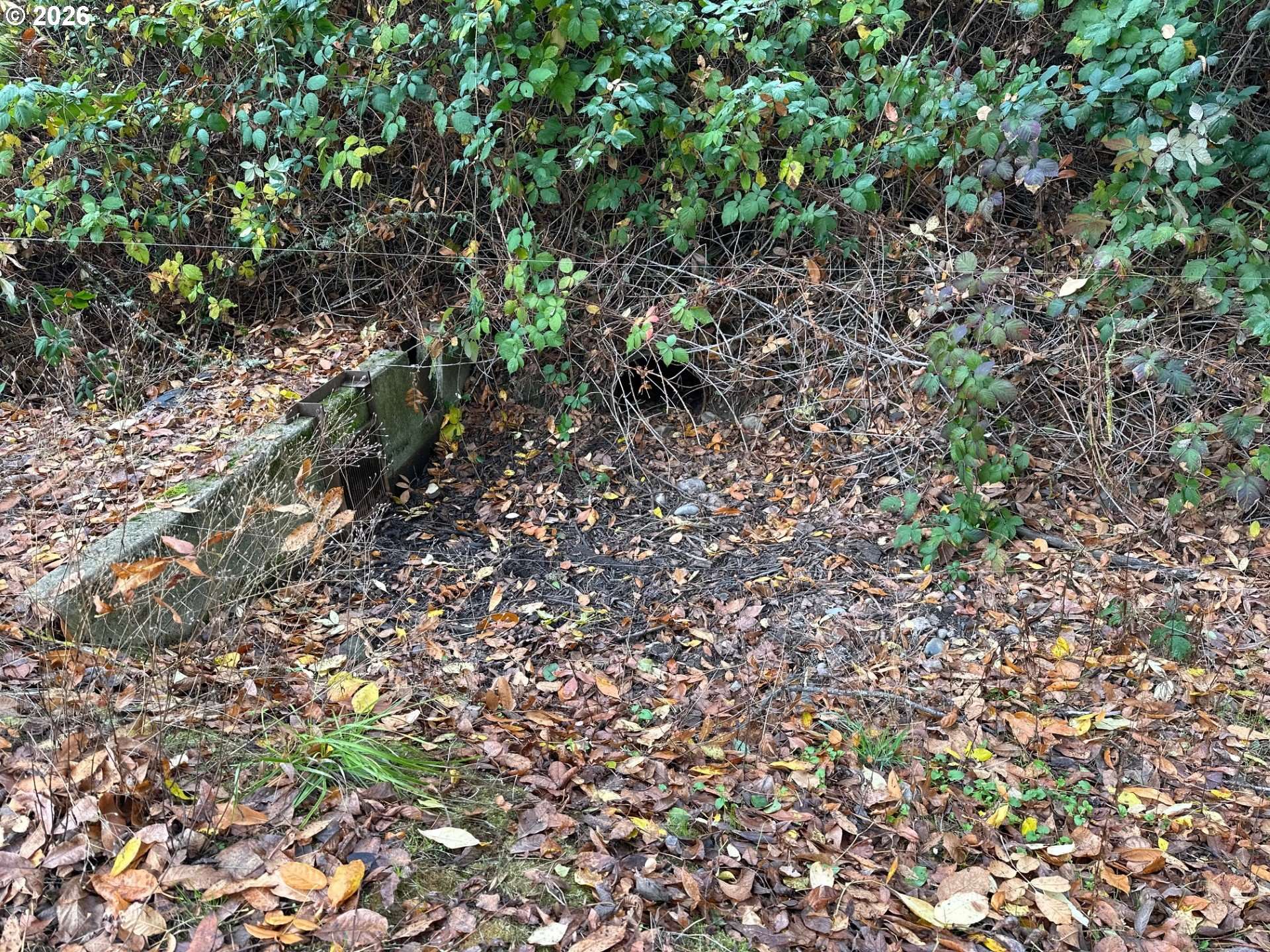 Jefferson, OR 97352,219 COLUMBIA ST