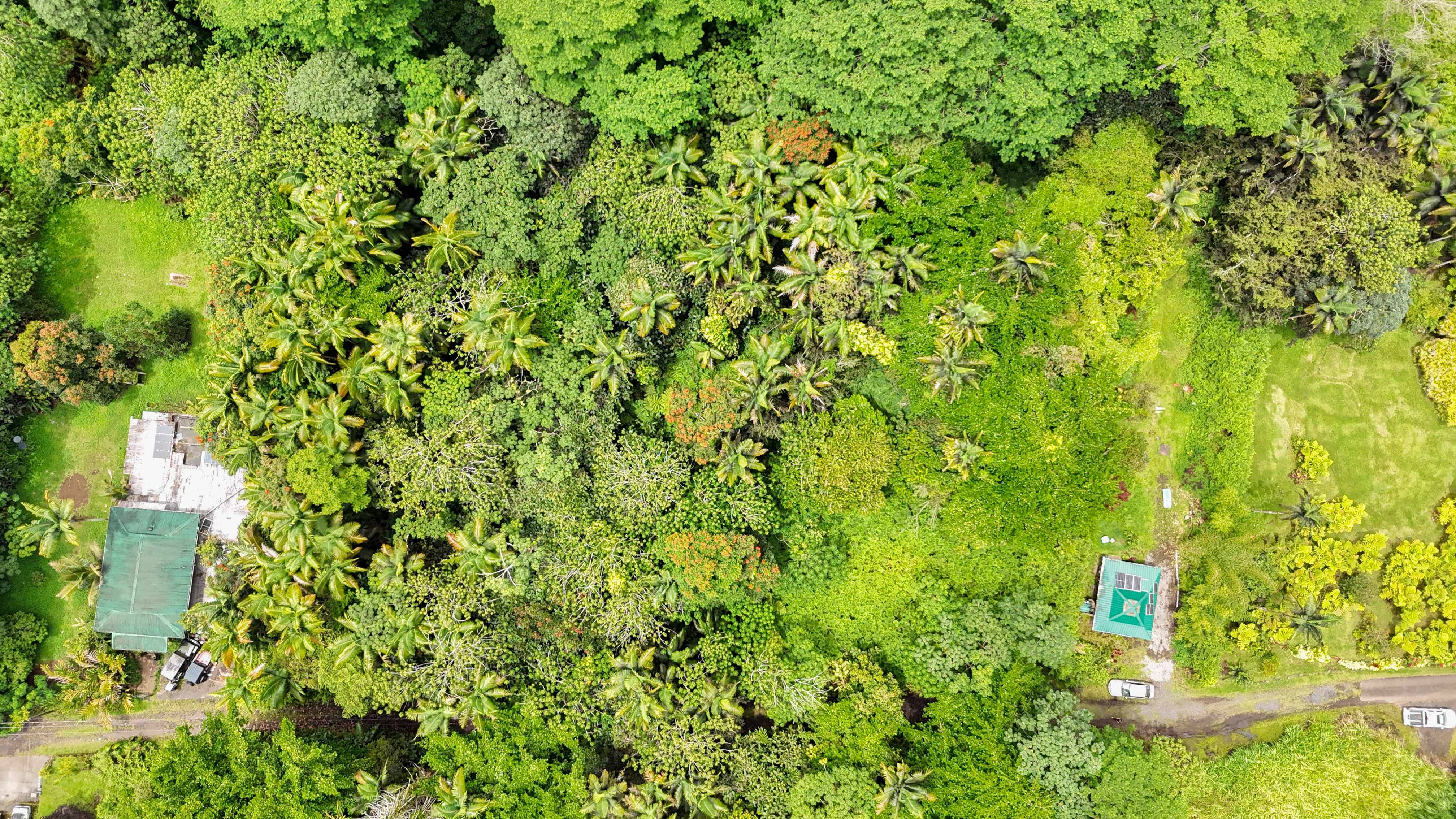 Pahoa, HI 96778,JAPANESE CAMP RD