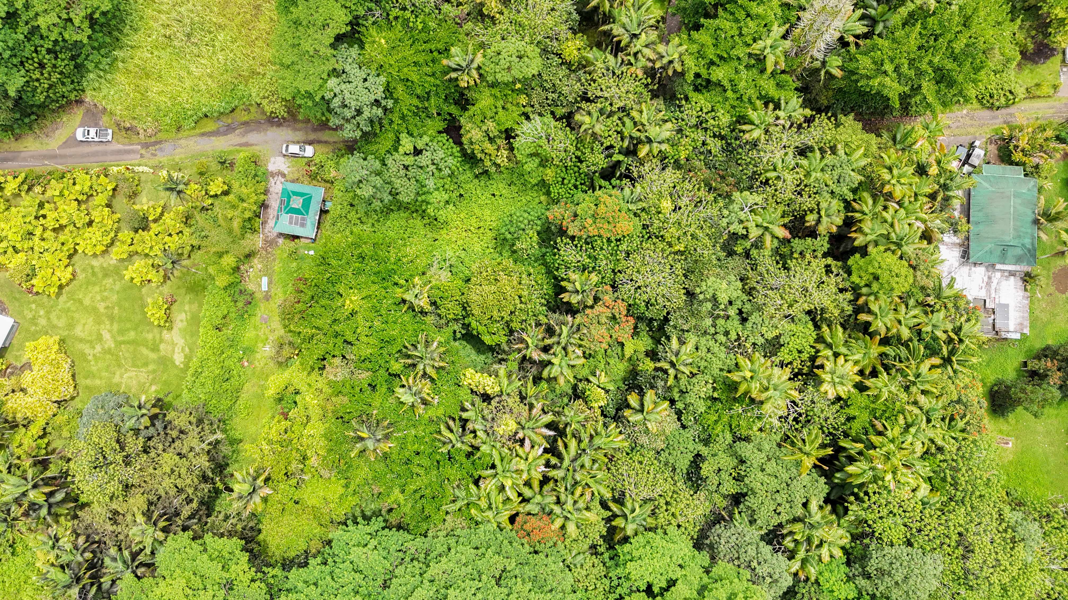 Pahoa, HI 96778,JAPANESE CAMP RD