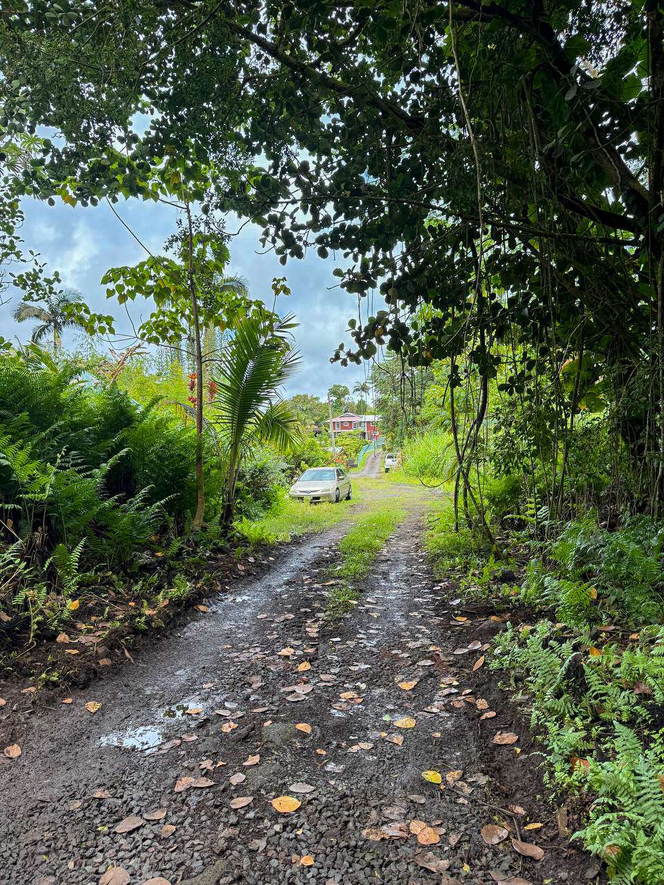 Pahoa, HI 96778,JAPANESE CAMP RD