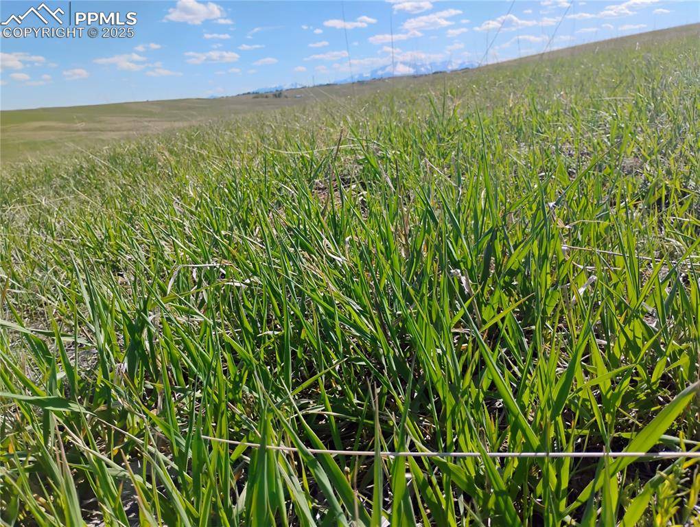 Colorado Springs, CO 80908,Parcel #3 Walker RD