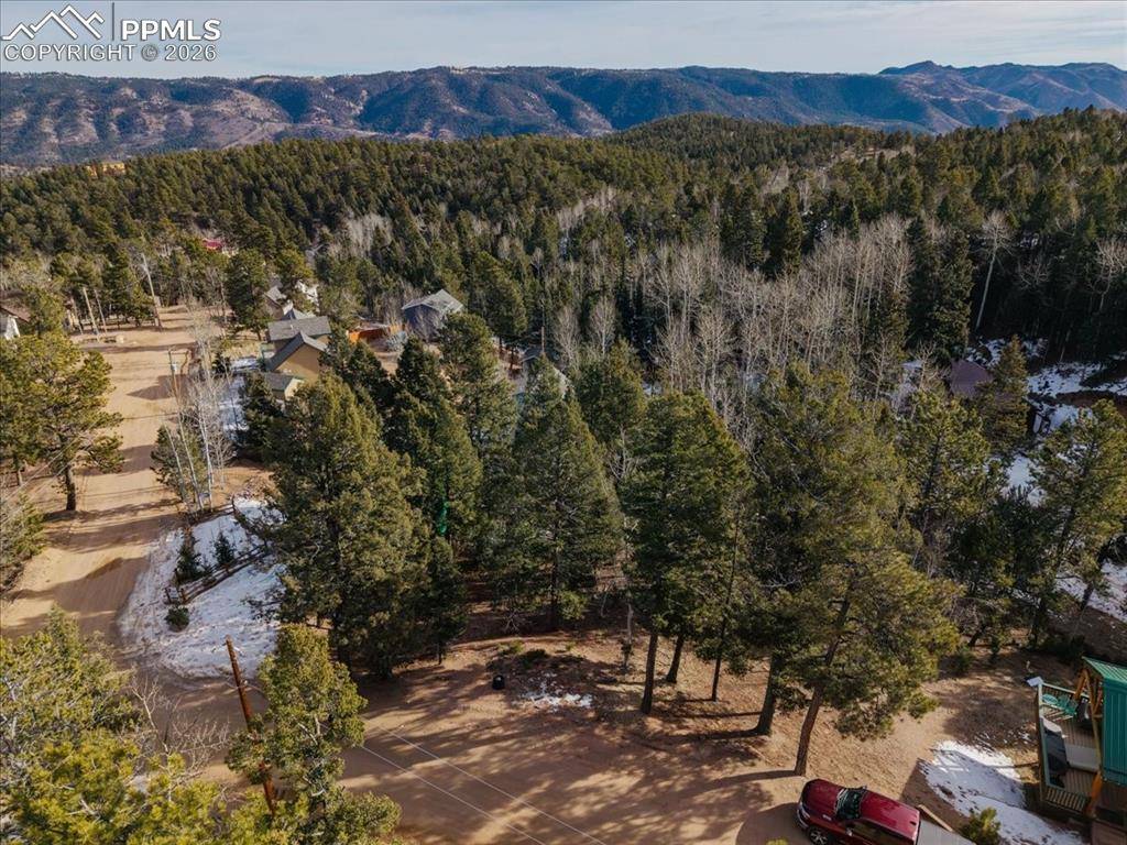 Woodland Park, CO 80863,41 Tecumseh LN