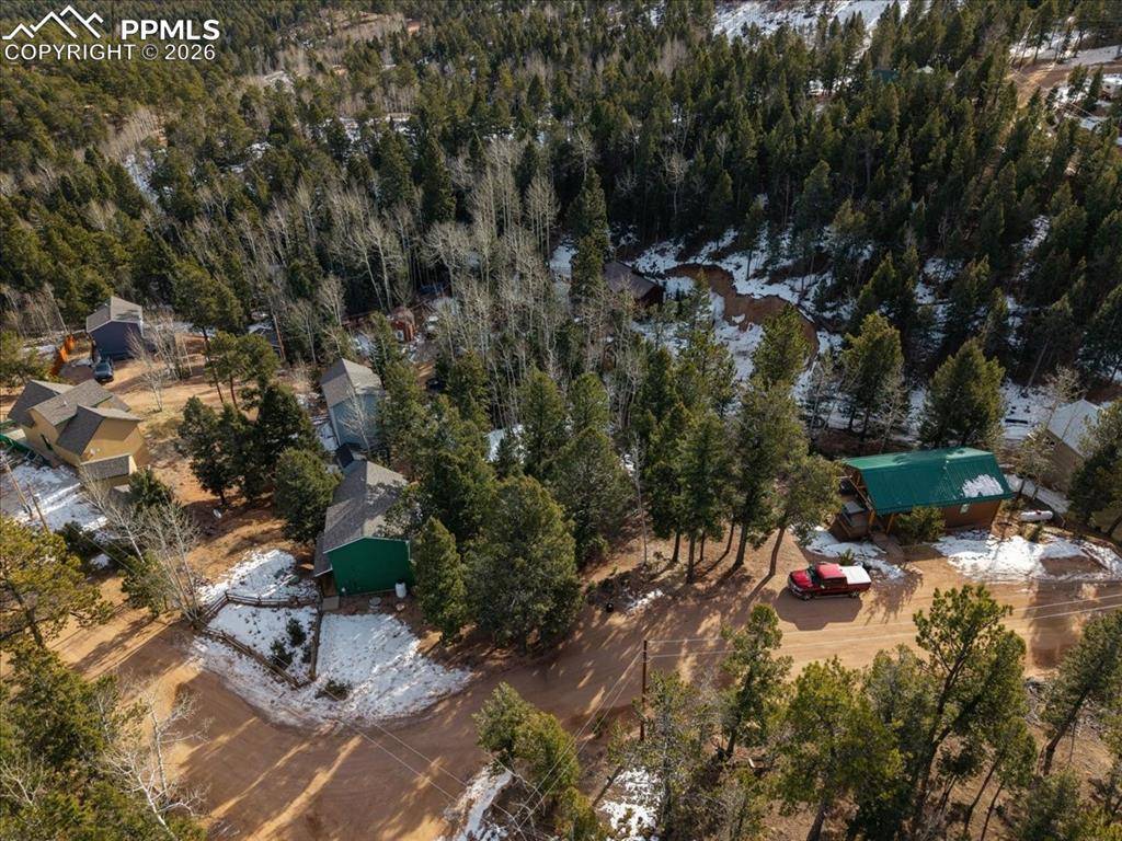 Woodland Park, CO 80863,41 Tecumseh LN