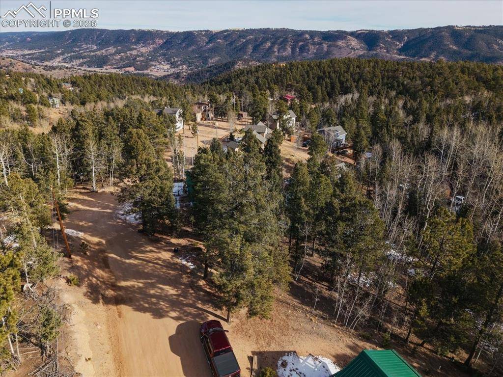 Woodland Park, CO 80863,41 Tecumseh LN