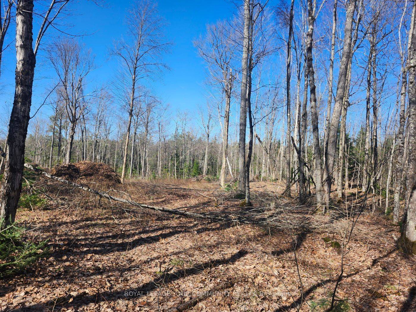 Bracebridge, ON P1L 1X1,1282 Highway 118 RD E