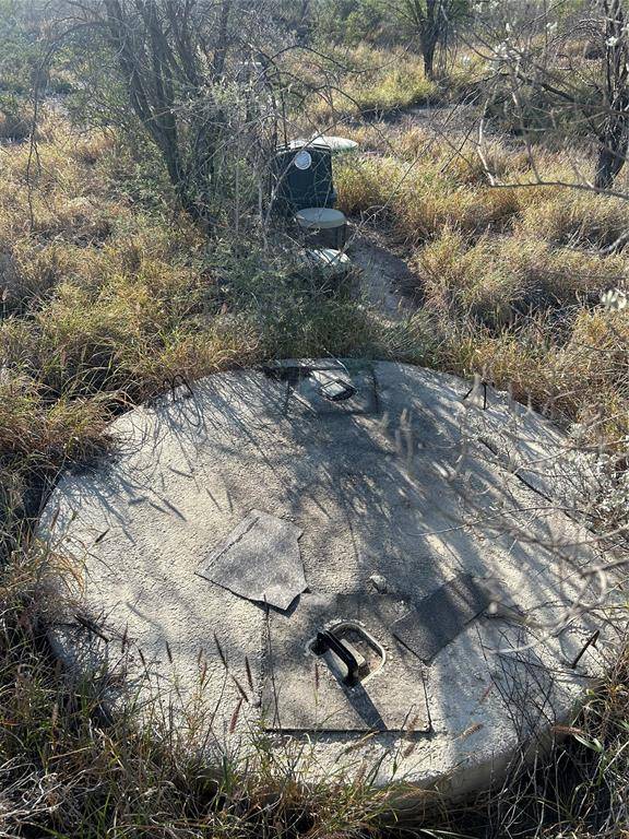 Del Rio, TX 78840,111 BRITE RD