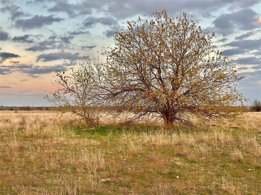 Gainesville, TX 76240,96.8 Acres County Road 353