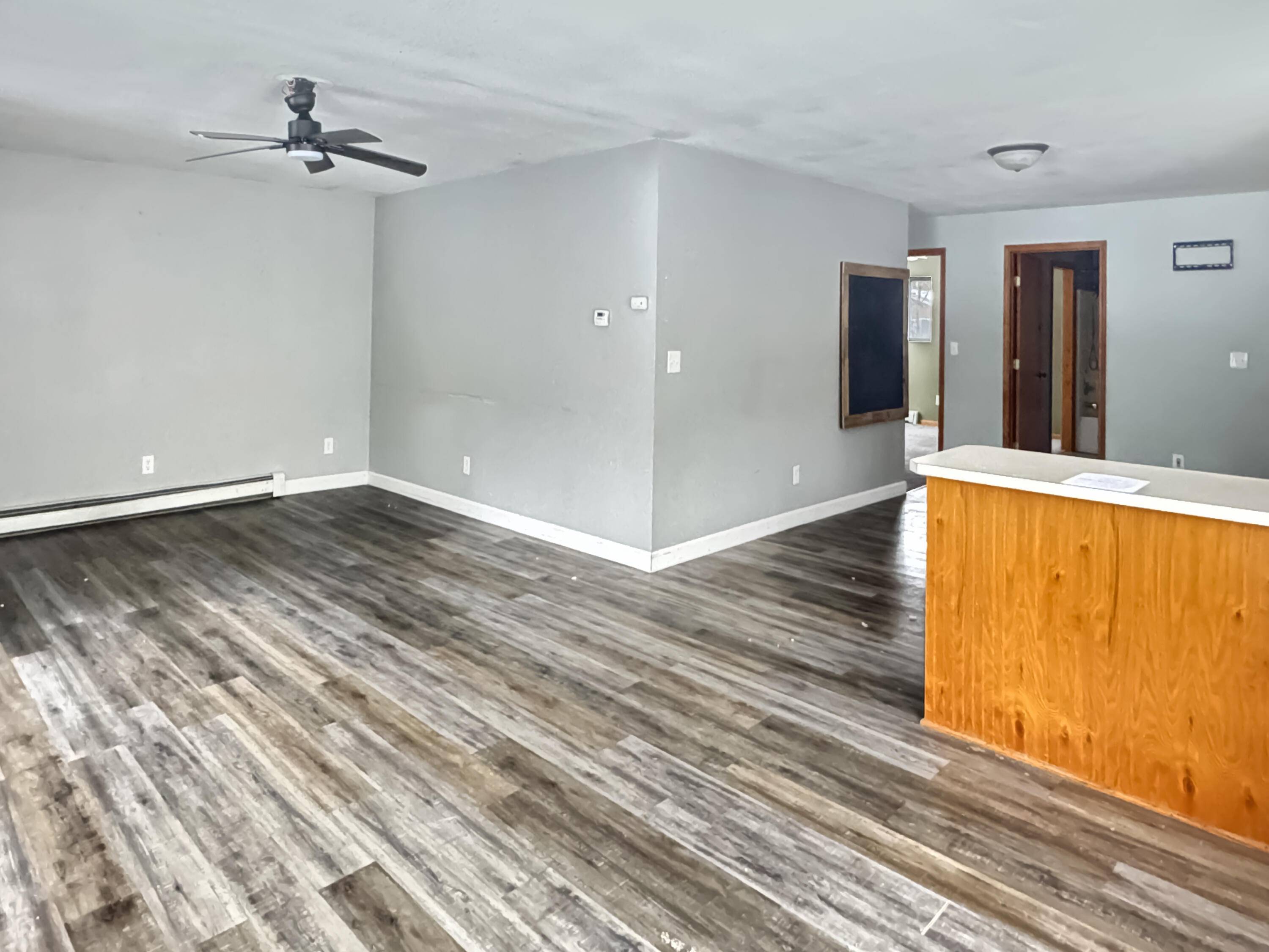 Big Rapids, MI 49307,11137 192nd AVE