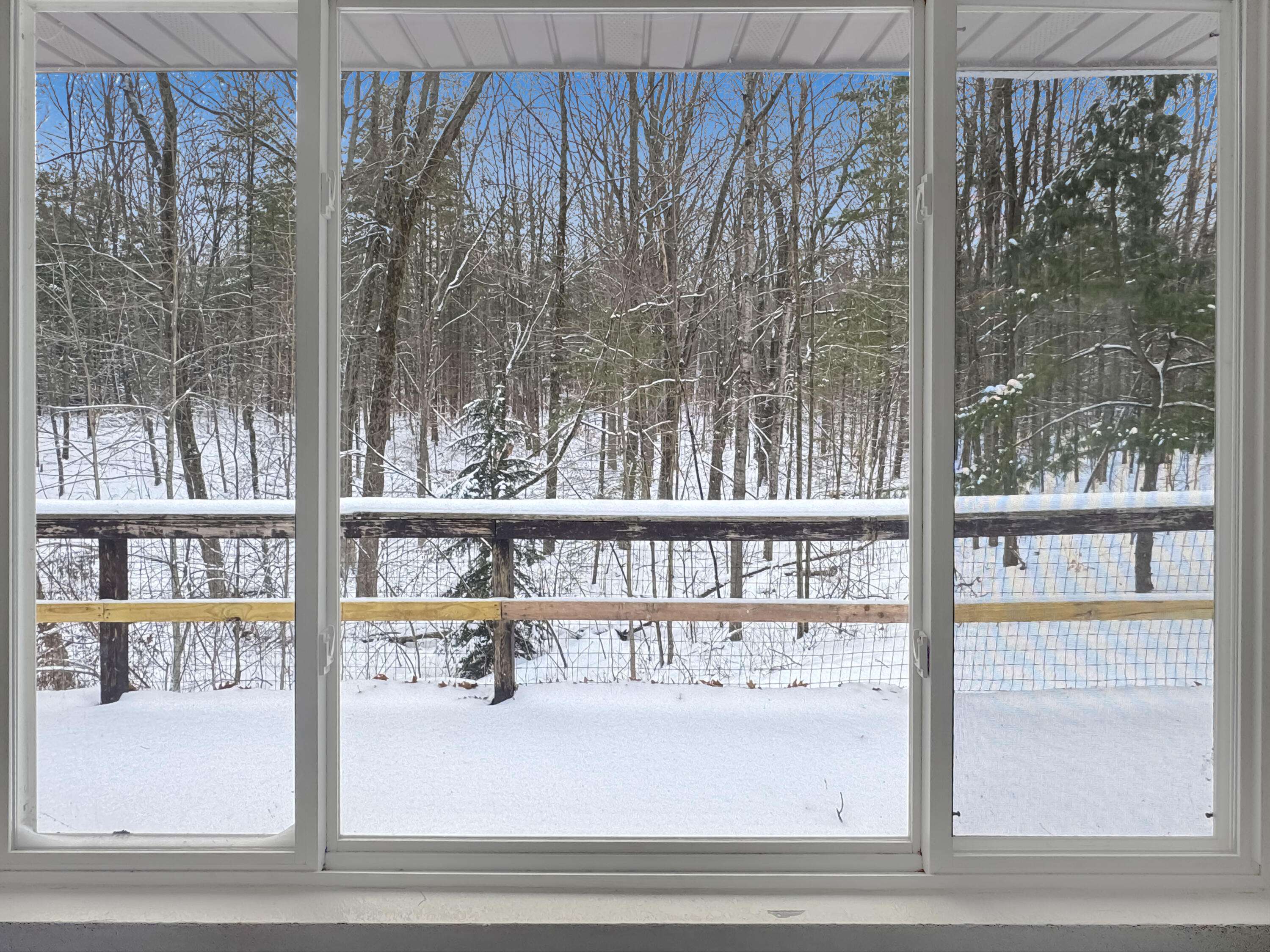 Big Rapids, MI 49307,11137 192nd AVE