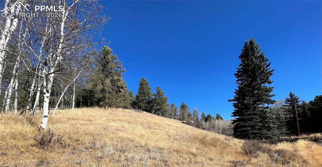 Florissant, CO 80816,3090 N Mountain Estates RD