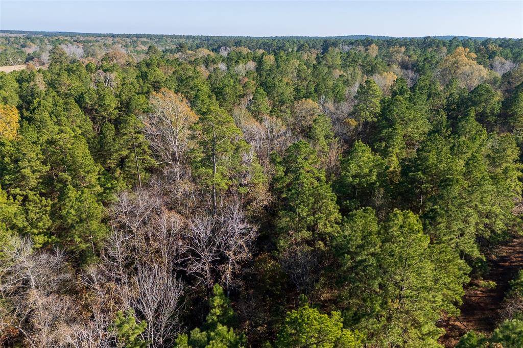 Kennard, TX 75835,00 County Road 1135