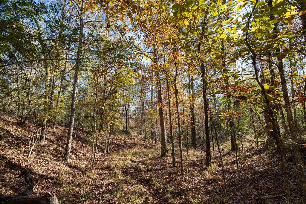 Kennard, TX 75835,00 County Road 1135