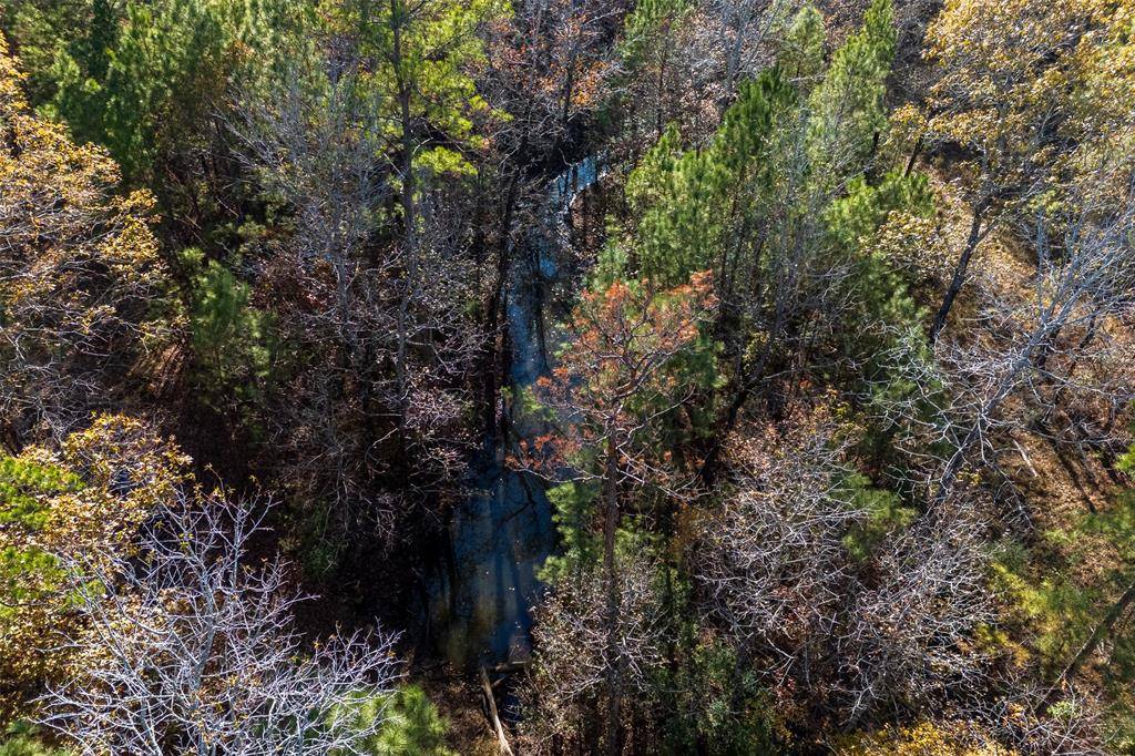 Kennard, TX 75835,00 County Road 1135