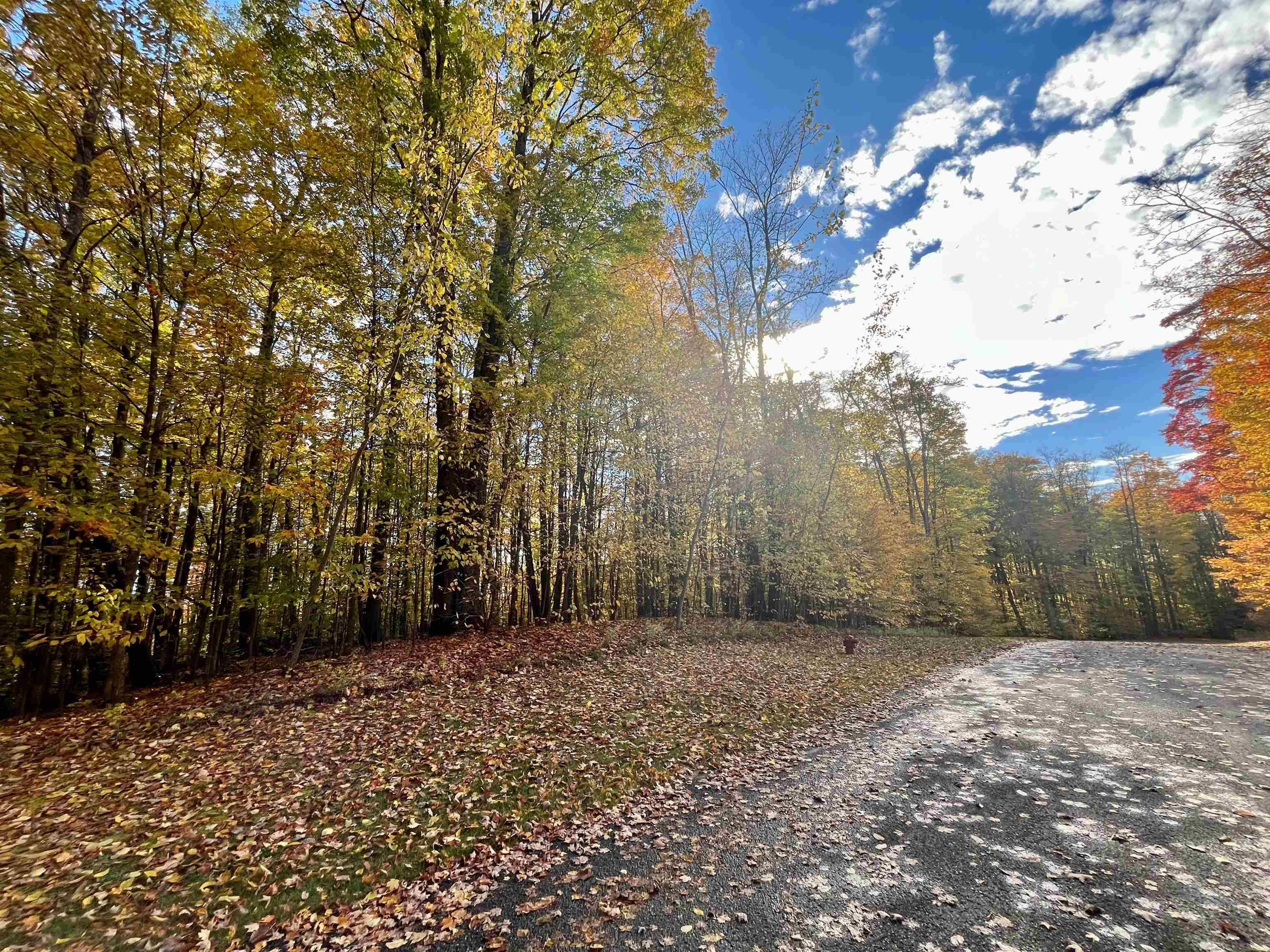 Bellaire, MI 49615,166 Forest Highlands