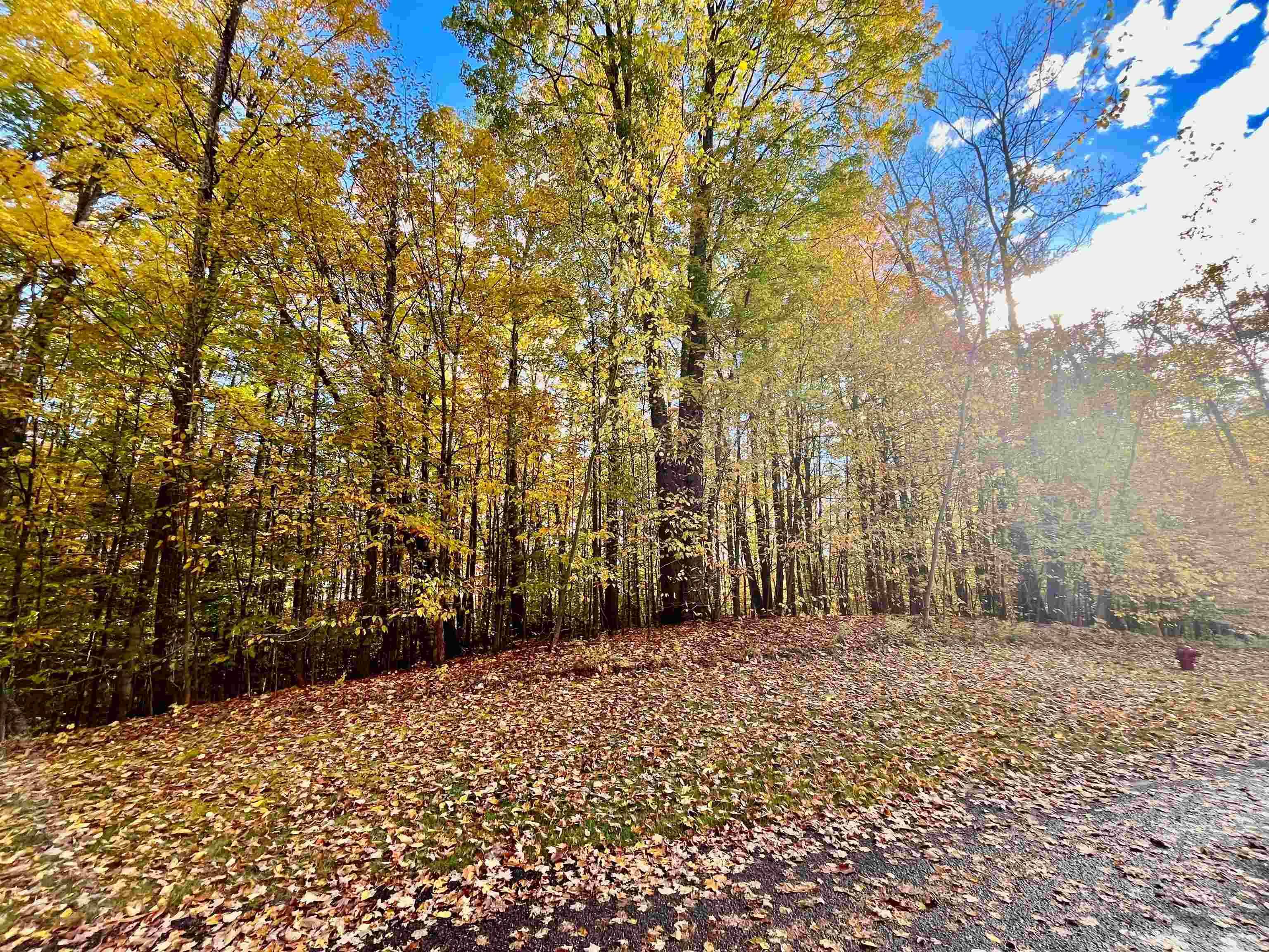 Bellaire, MI 49615,166 Forest Highlands