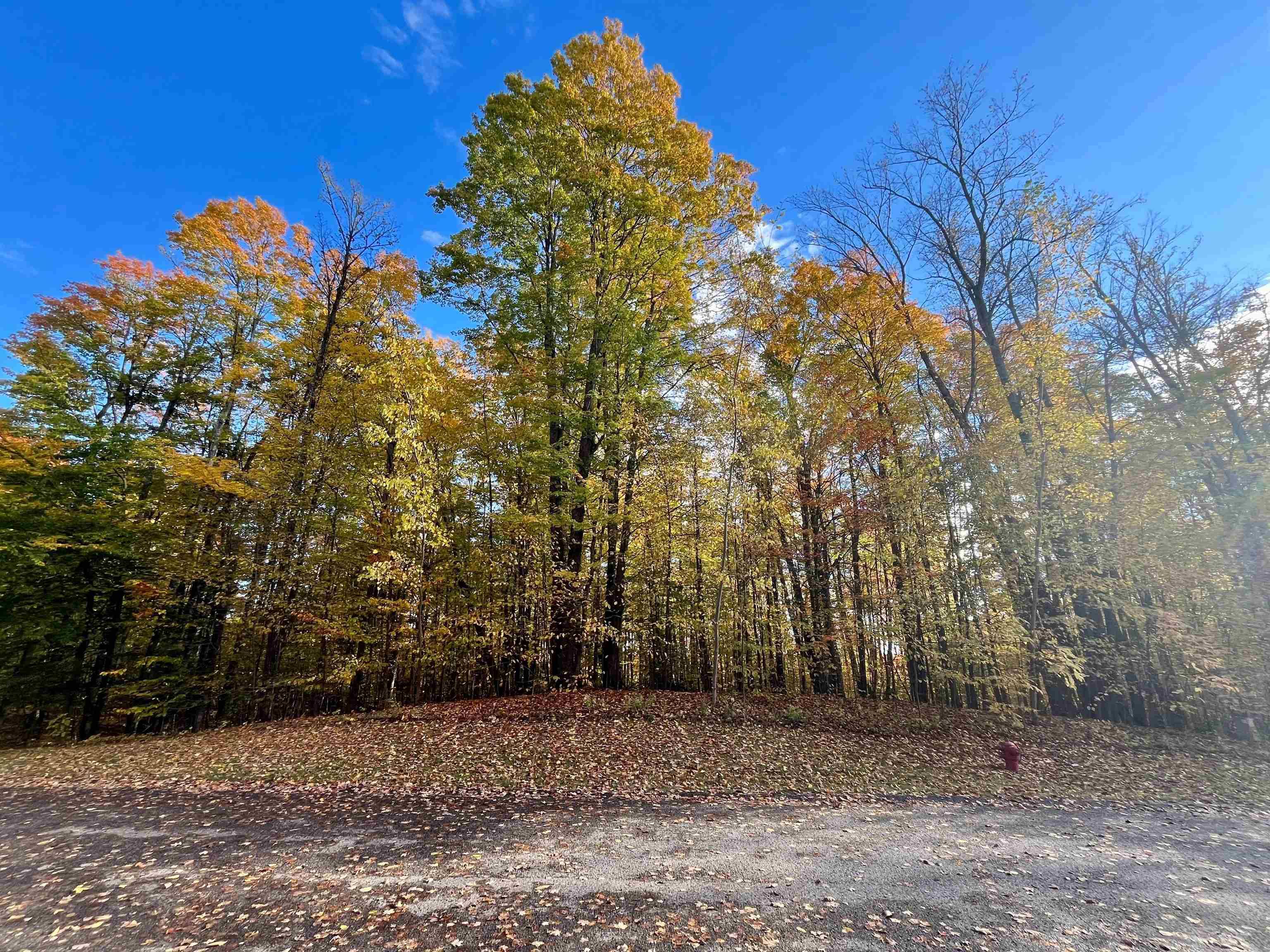 Bellaire, MI 49615,166 Forest Highlands