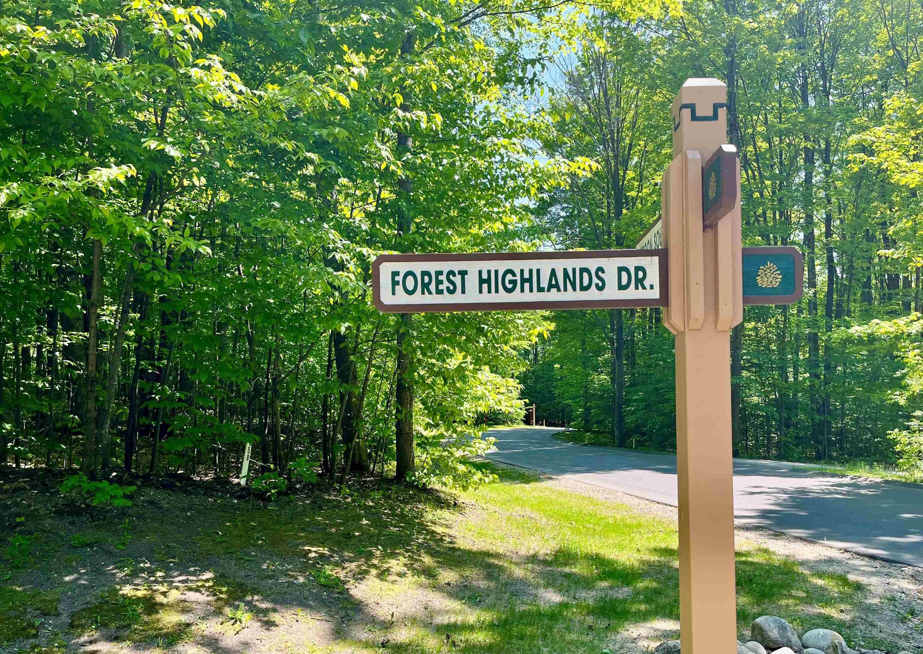 Bellaire, MI 49615,166 Forest Highlands