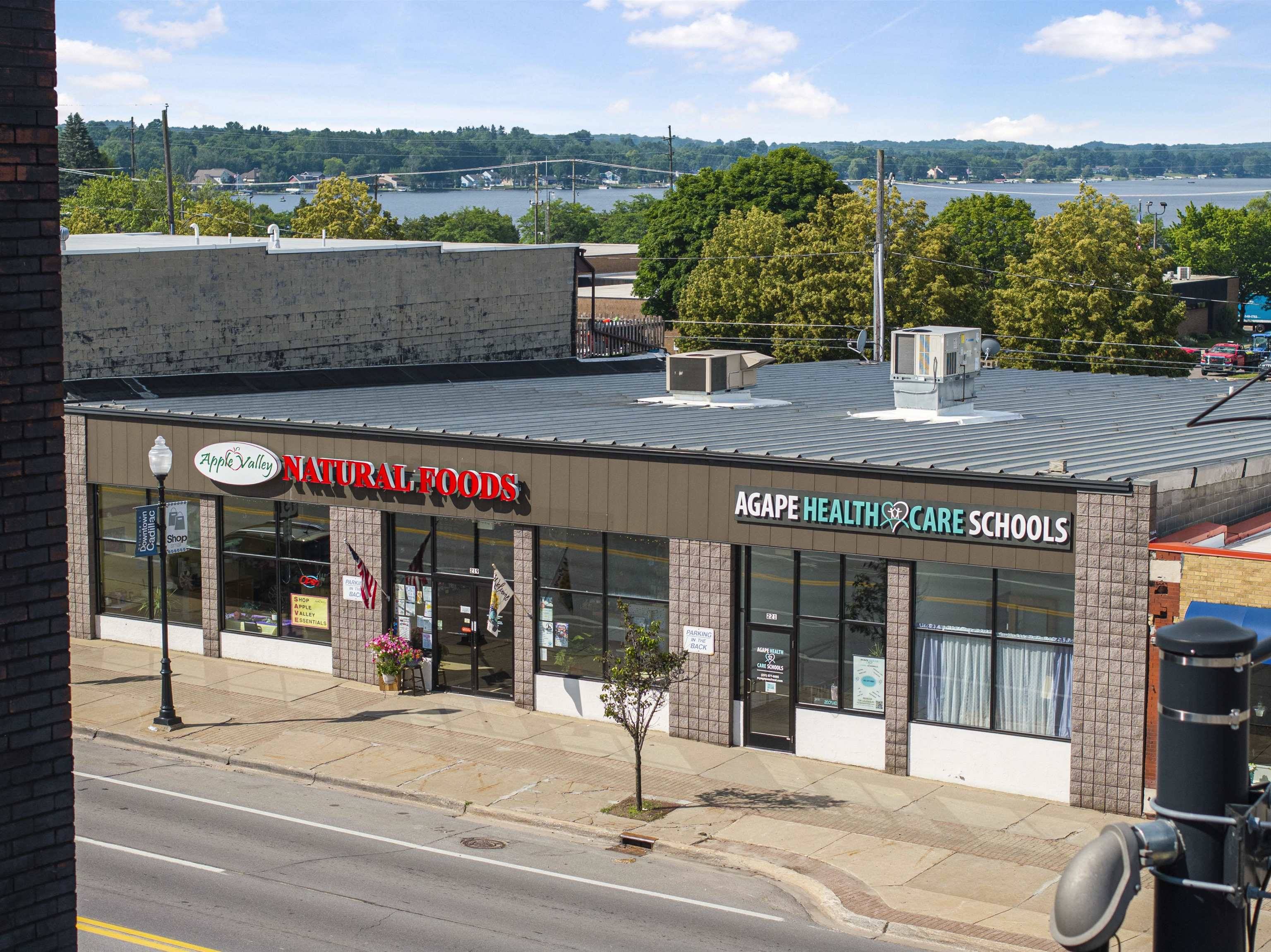 Cadillac, MI 49601,219 N Mitchell ST