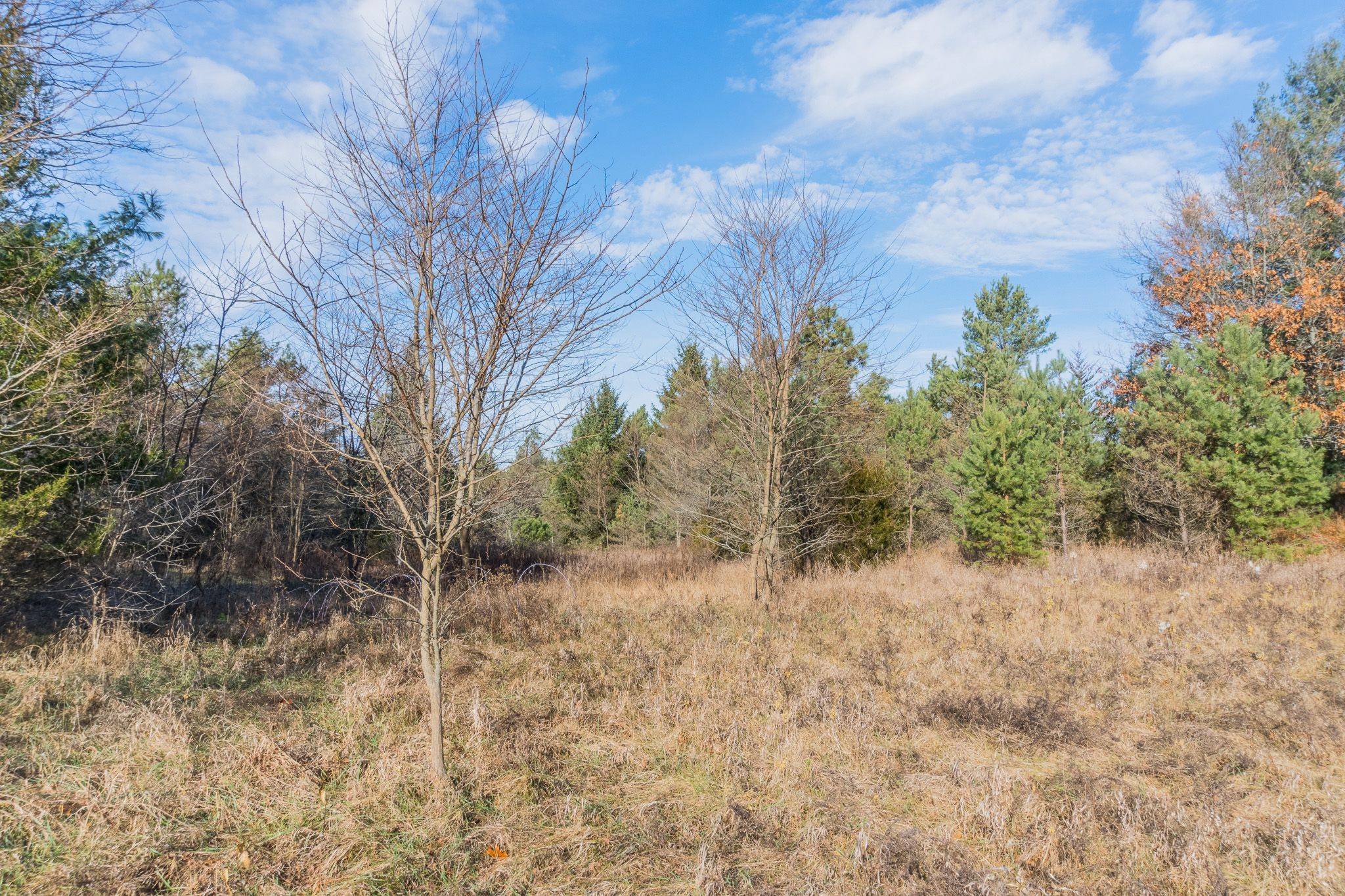 Cramahe, ON K0K 1M0,0 County 25 RD