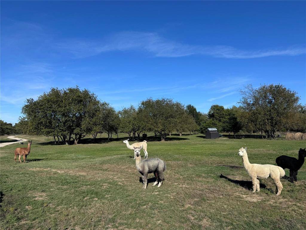 Campbell, TX 75422,4081 Fm 2736