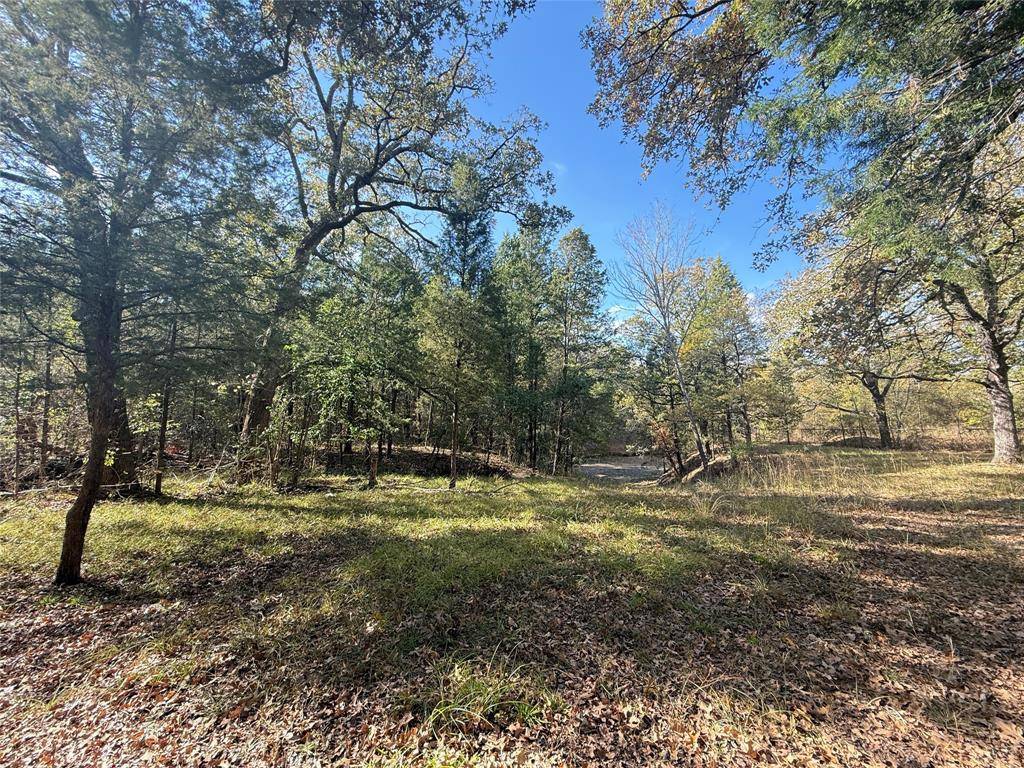 Malakoff, TX 75148,Lot 11 Harris Boulevard