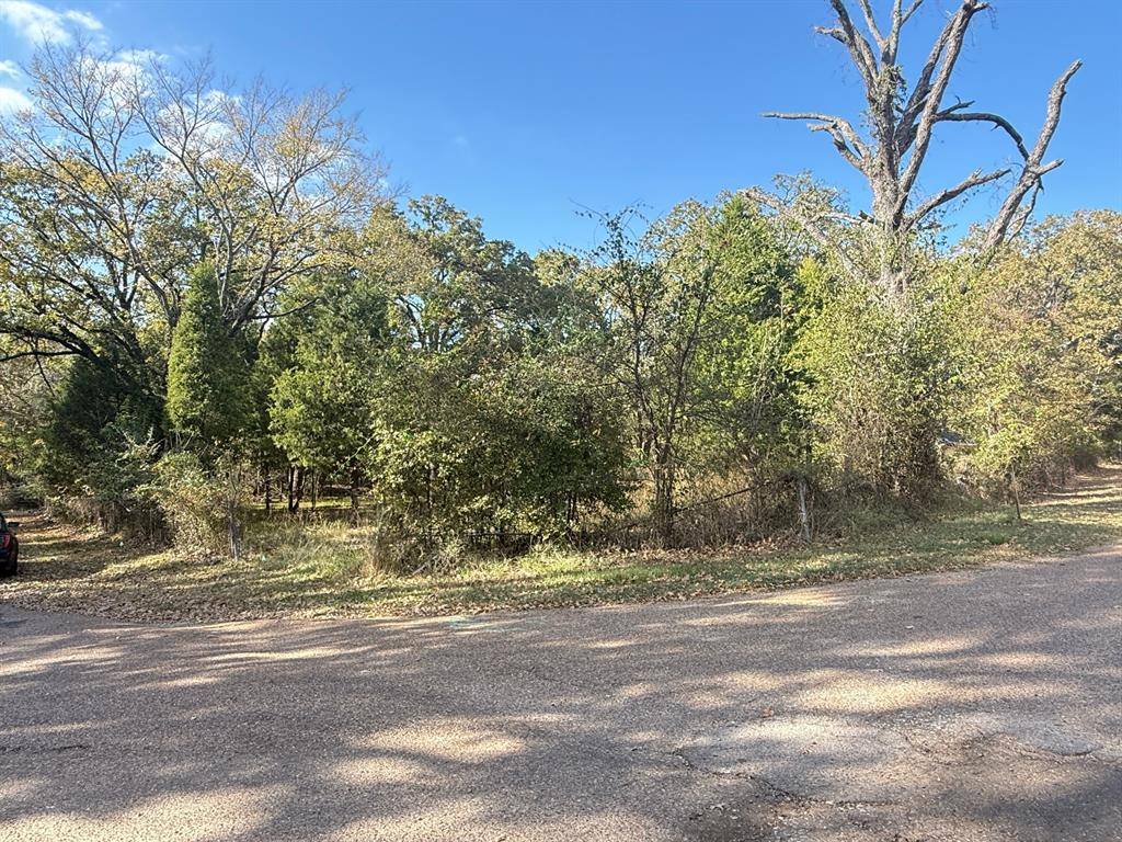 Malakoff, TX 75148,Lot 11 Harris Boulevard