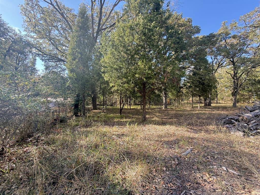 Malakoff, TX 75148,Lot 11 Harris Boulevard