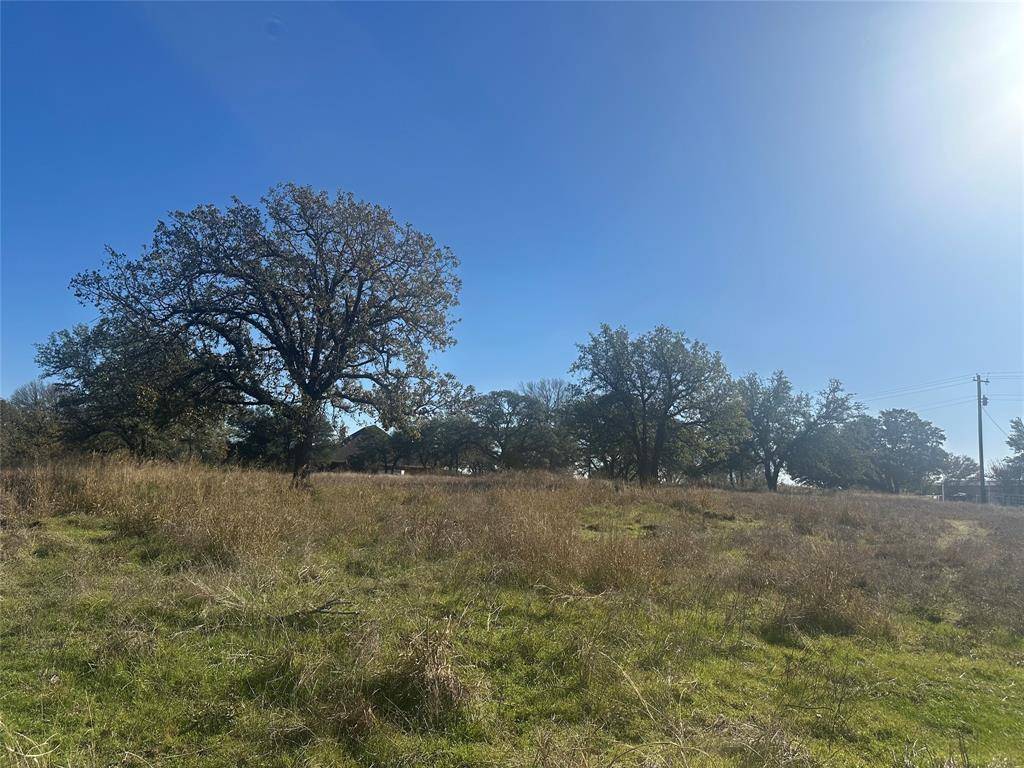 Springtown, TX 76082,00 Lynch Bend