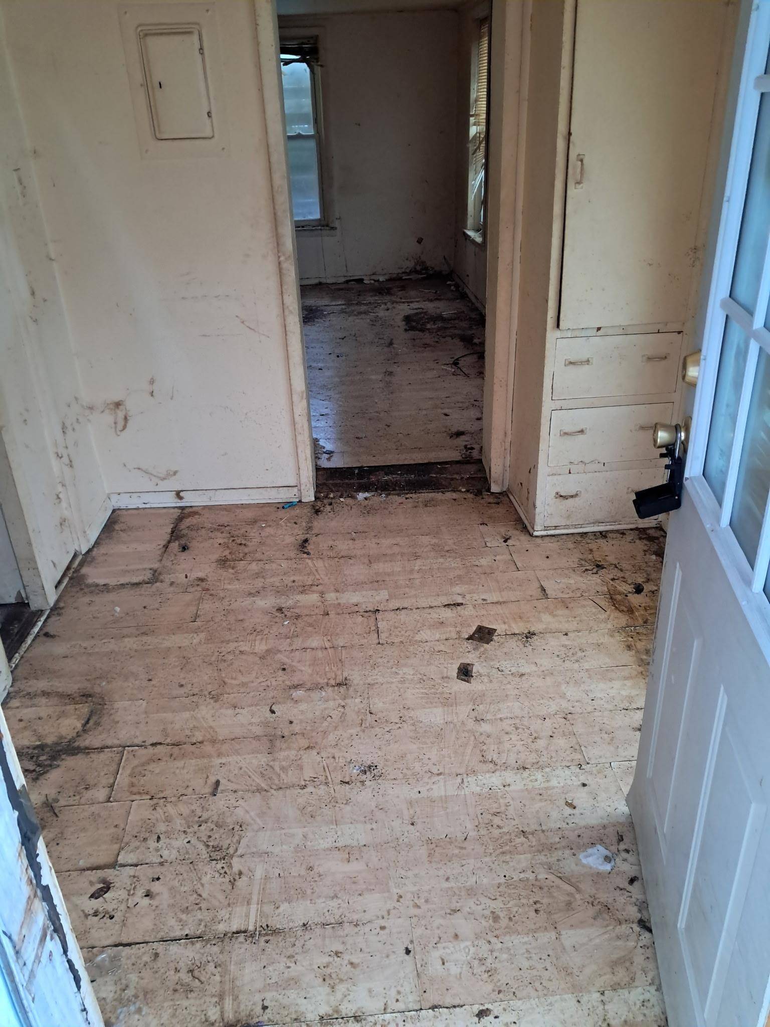 Harrison, MI 48625,293 Birch