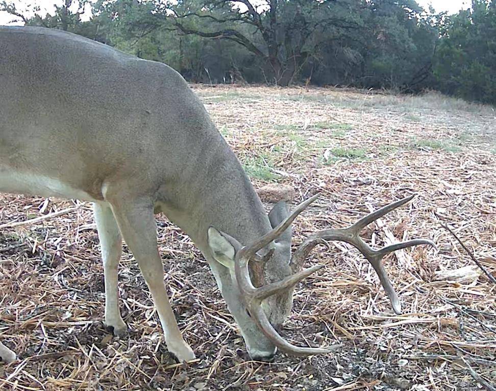 Clifton, TX 76634,TBD FM 708A