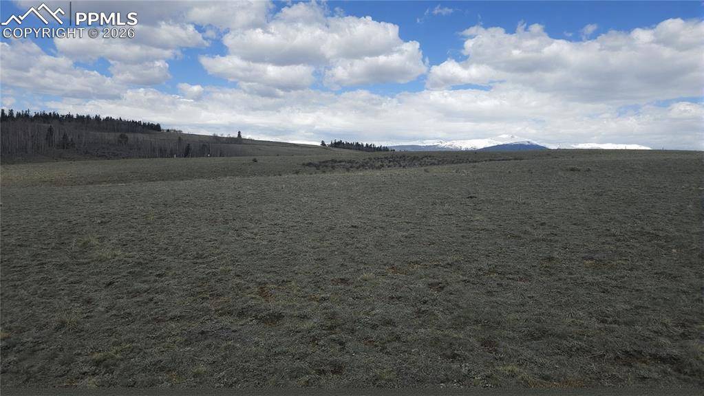 329 Albino RD, Jefferson, CO 80456