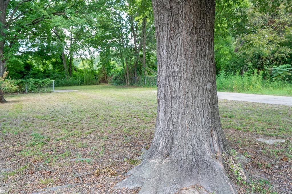 Texarkana, TX 75501,1609 Plum