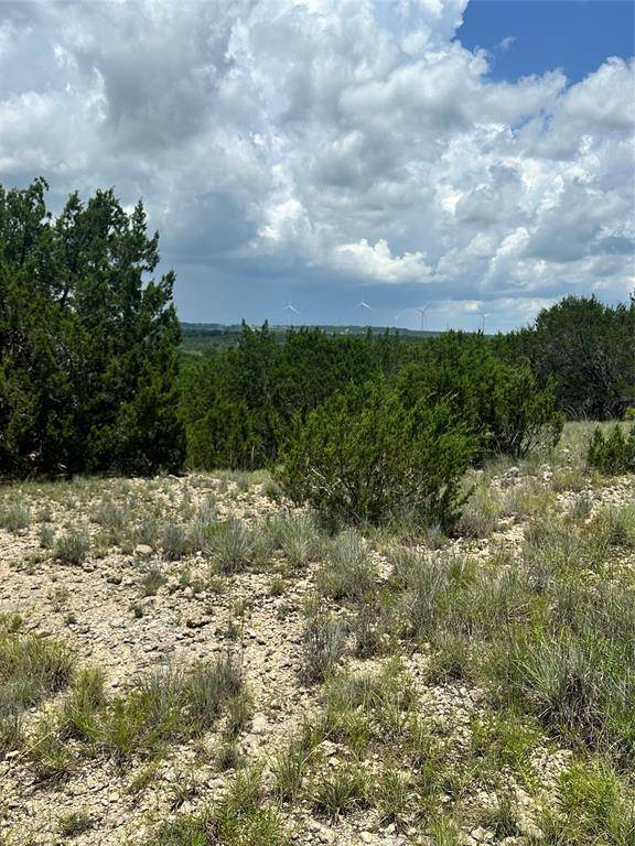 Lometa, TX 76853,4370 County Road 2699