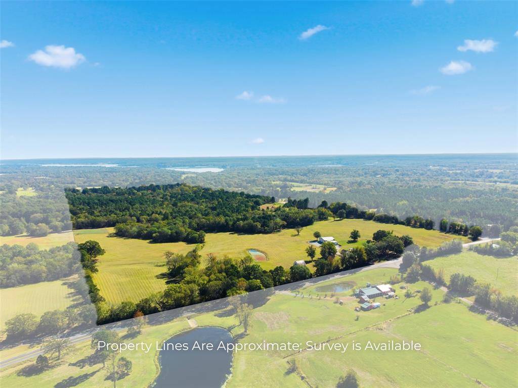 Scroggins, TX 75480,10495 FM 115