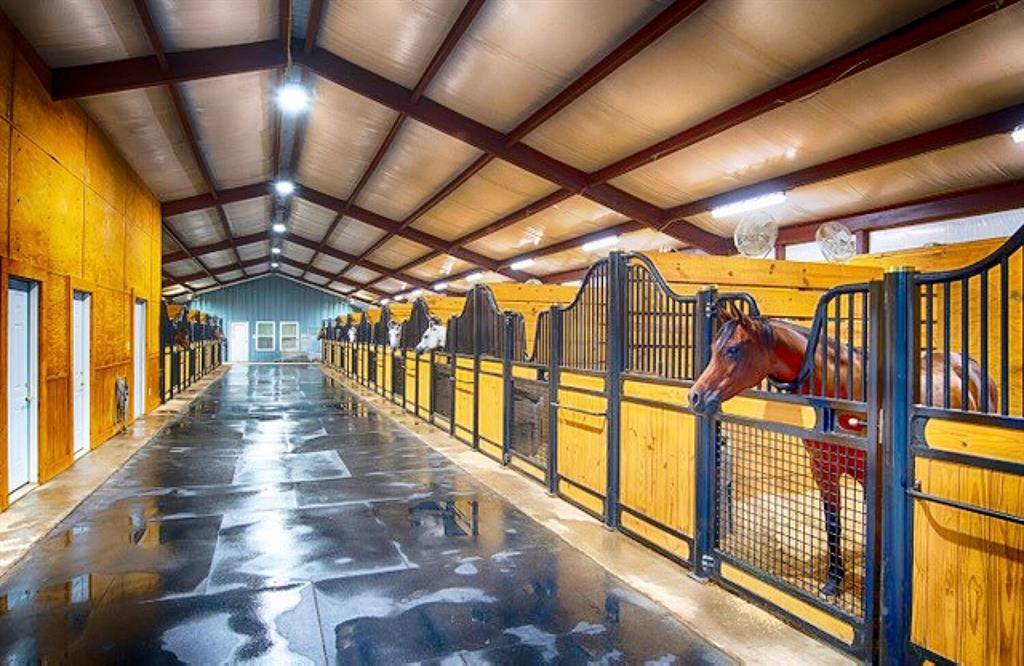 Pilot Point, TX 76258,11217 Foutch Road