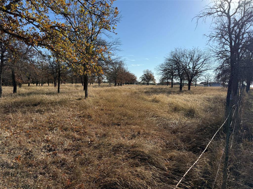 Morgan, TX 76671,TBD Private Road 1403 Road #1403
