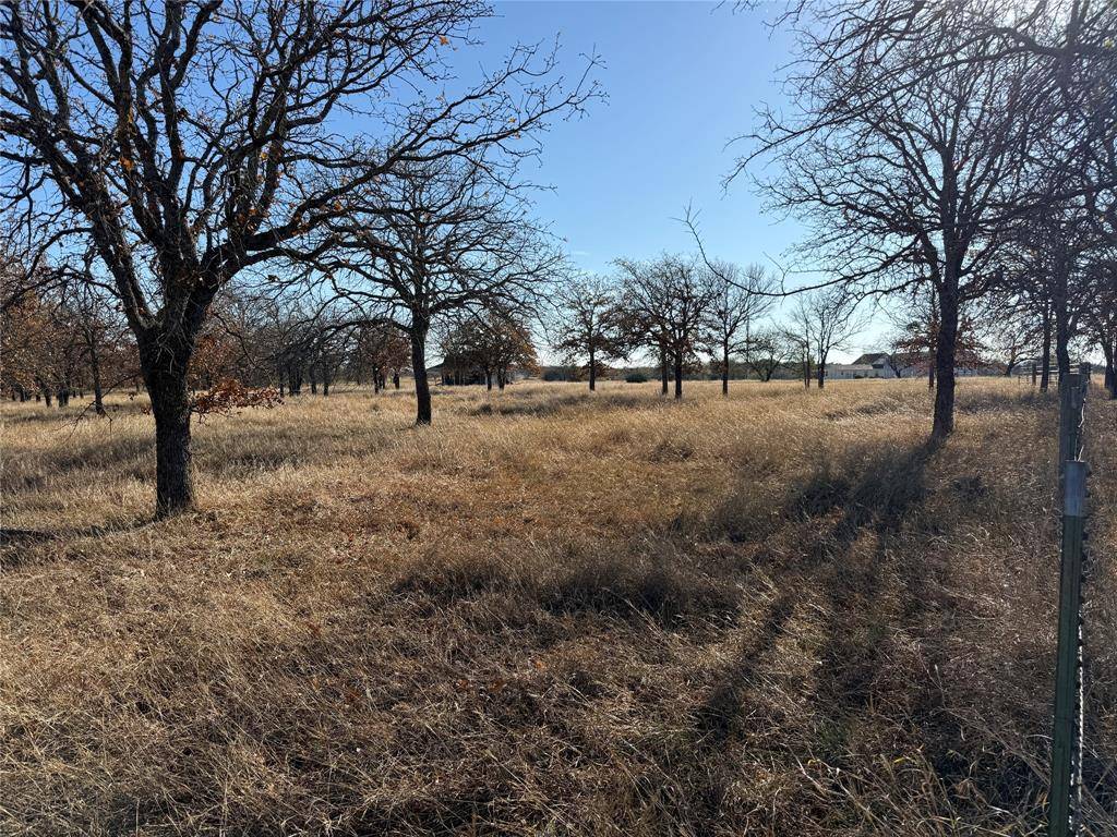 Morgan, TX 76671,TBD Private Road 1403 Road #1403