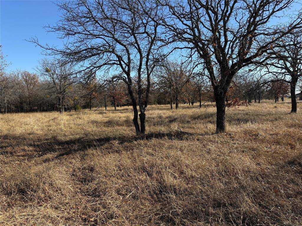 Morgan, TX 76671,TBD Private Road 1403 Road #1403