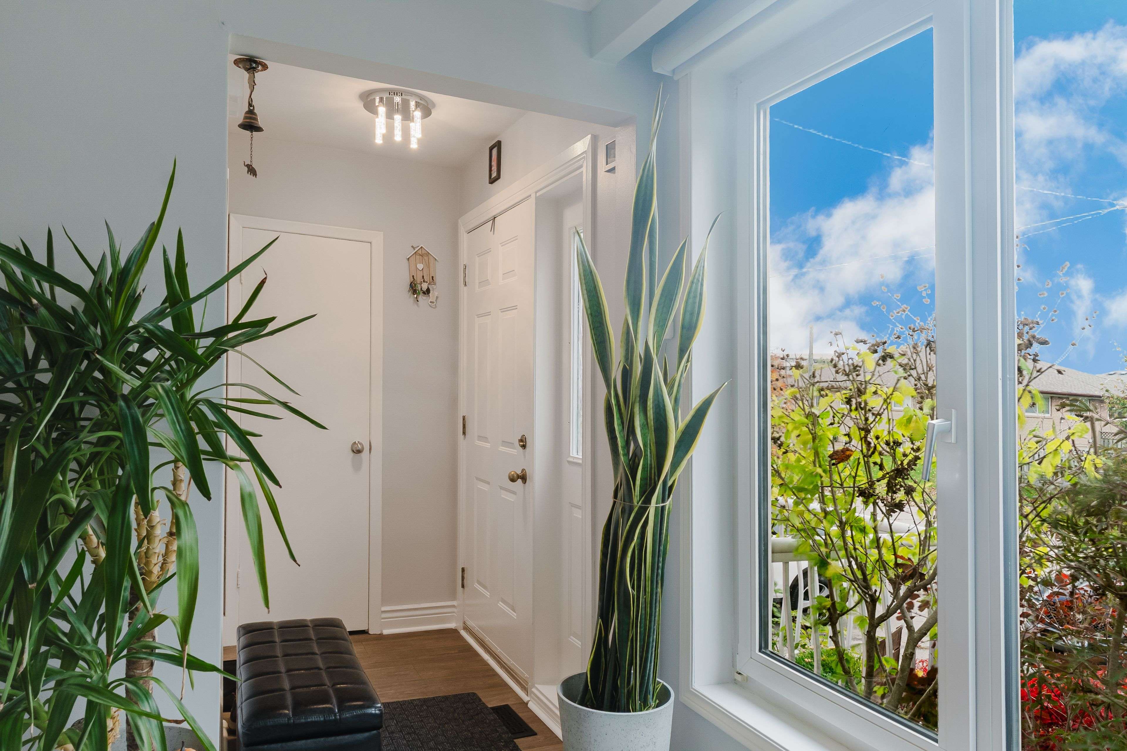 Toronto C13, ON M3A 2C2,111 Tulane CRES #Main