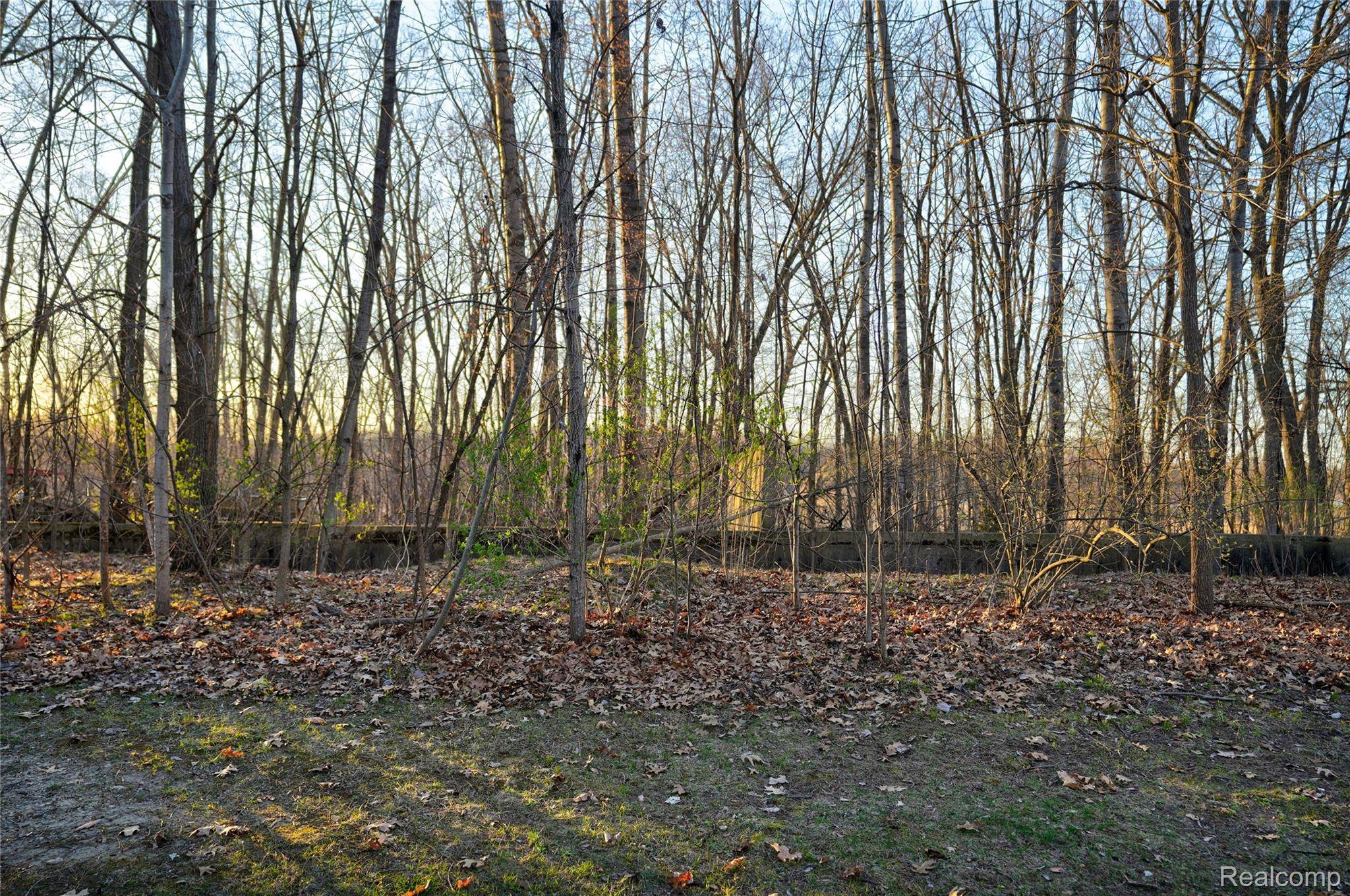 VL Pineview Lake DR, Argentine Township, MI 48451