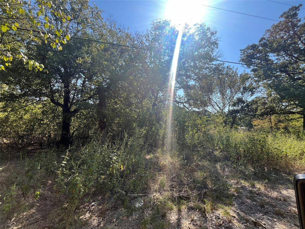 Hawk Cove, TX 75474,00 Pinewood Drive