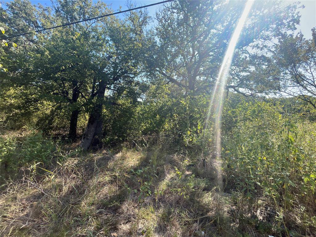 Hawk Cove, TX 75474,00 Pinewood Drive