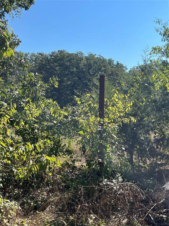 Hawk Cove, TX 75474,00 Pinewood Drive