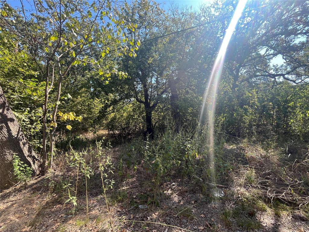 Hawk Cove, TX 75474,00 Pinewood Drive