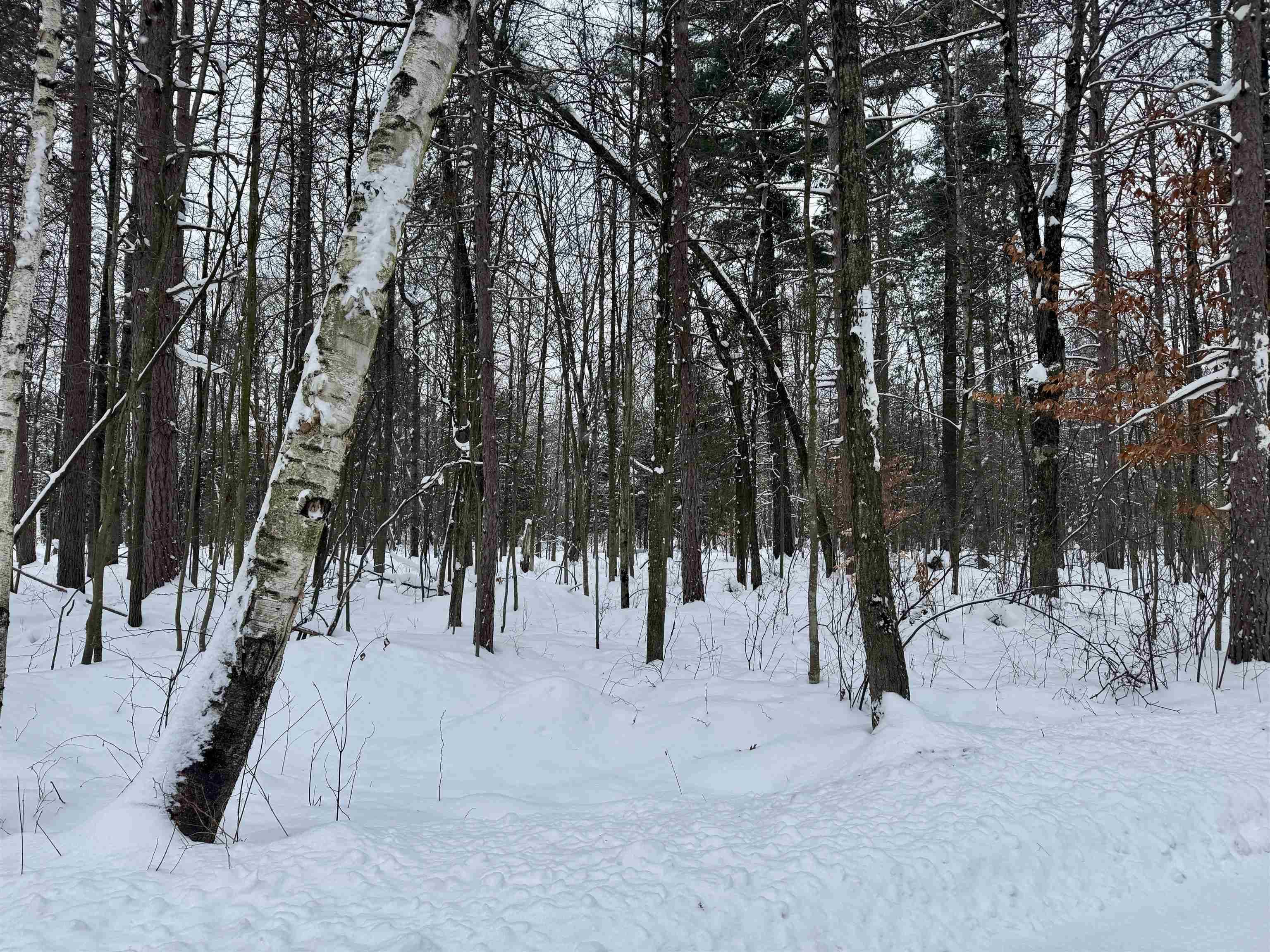 Cadillac, MI 49601,Parcel A 32 1/2 RD