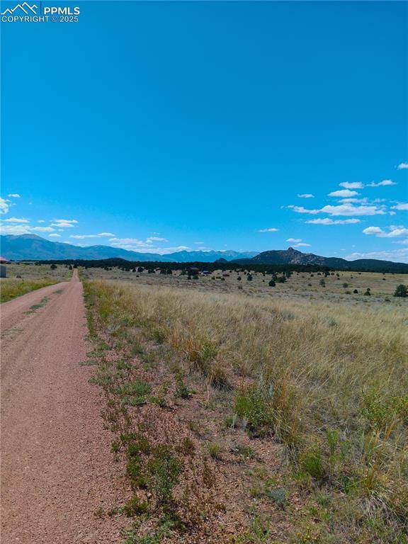 Cotopaxi, CO 81223,567 Trails End CT
