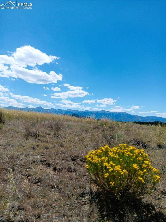 Cotopaxi, CO 81223,567 Trails End CT