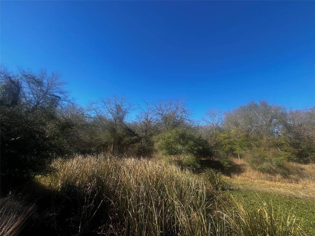 Groesbeck, TX 76642,TBD LCR 799